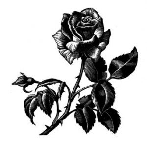 roza zdjecie_kondolencje